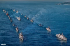 海上武装力量的海上阅兵活动令人印象深刻