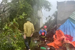 第10号台风直接影响越南中部地区各省，造成巨大损失