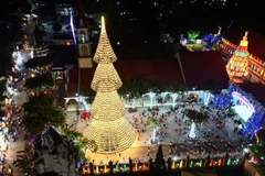 来同奈省欣赏由3000顶斗笠制成的圣诞树