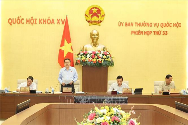 国会常务副主席陈青敏在开幕式上发言。图自越通社 2.jpg