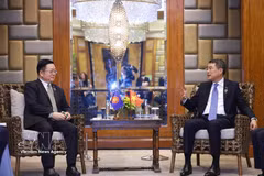 越南总理黎明（右）兴会见东盟秘书长高金洪。图自越通社