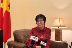 越南常驻东盟代表团团长孙氏玉香大使接受越通社驻印尼记者采访。图自越通社