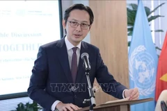 越南常驻联合国代表团团长杜雄越大使。图自越通社