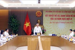 越南政府常务副总理、2025年特赦咨询委员会主席阮和平主持召开会议。图自越通社