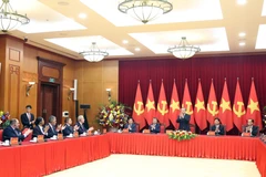 越共中央总书记苏林会见多国政党代表团团长。图自越通社
