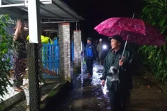 岘港市人民委员会副主席陈南兴视察受灾地区。图自越通社