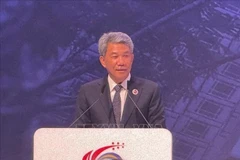 马来西亚外长莫哈末·哈山。图自越通社