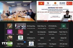 题为“越南与土耳其清真合作：现状与前景”的线上研讨会。图自越通社