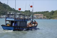 附图。图自越通社