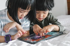 附图。图自Asurion