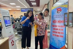 青年志愿队投身两级地方政府运转与线上公共服务推广。图自越通社