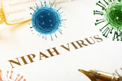 附图。图自越通社