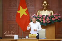黎明兴总理在会上发表讲话。图自越通社