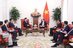 越南外交部长黎怀忠会见韩国外交部第一次官朴润珠。图自越通社