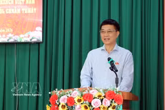 越南国会副主席武鸿青发表讲话。图自越通社