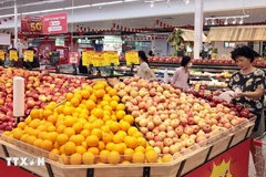 附图。图自越通社