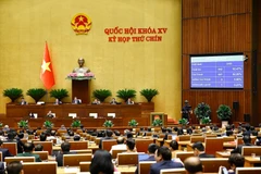 国会表决通过7部重要法律。图自越通社