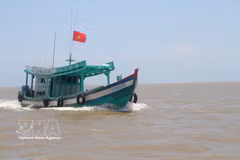 金瓯省开展打击 IUU 捕捞高峰行动。图自越通社
