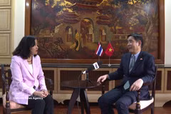 越南驻泰国大使范越雄接受越通社驻曼谷记者的采访 图自越通社