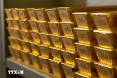 附图。图自越通社