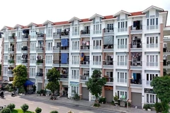 附图。图自越通社