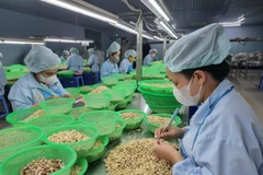 附图。图自越通社