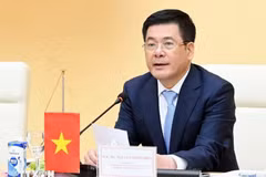 阮鸿延部长。图自越通社