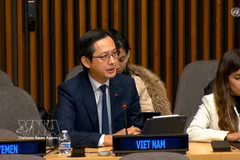 越南常驻联合国代表团团长杜雄越大使。图自越通社
