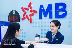 军队股份商业银行（MB）跻身越南诚信高效上市公司50强（VIX50）名单。图自越通社