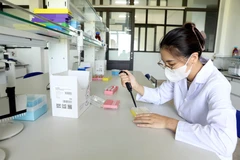 第57-NQ/TW号决议的落实要求高校和研究院所提升科研能力。图自越通社