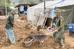 第五军区已动员人员，为全省建设231座住房。图自越通社