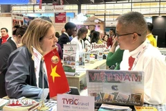 外国游客了解河内旅游的信息。图自越通社