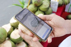 庆和省积极推动电子商务和无现金支付发展。图自越通社