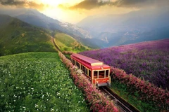 沙坝的登山列车为游客增添了绿色旅游新体验。图自越通社。