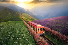 沙坝的登山列车为游客增添了绿色旅游新体验。图自越通社。