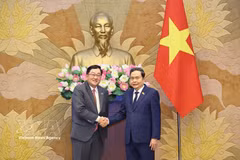 国会主席陈青敏会见前来辞行拜会的马来西亚驻越南大使陈杨泰。图自越通社
