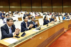 与会代表。图自越通社