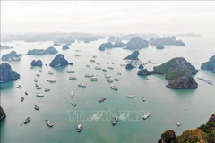 下龙湾一角。图自越通社