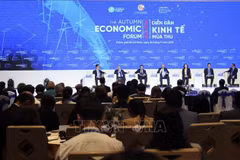 论坛现场。图自越通社