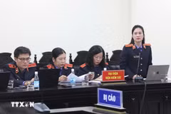 检察院代表强调：“假奶粉中某些成分含量超过标称标准，并不意味着质量更好。” 图自越通社