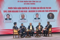 会议期间的专题讨论会。图自越通社