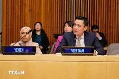 越南常驻联合国代表、大使邓黄江发表讲话。图自越通社