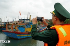 附图。图自越通社