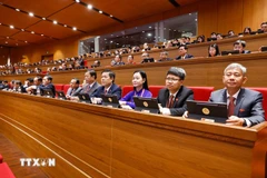 广义省党委代表团出席大会开幕式。图自越通社