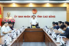高平省人民委员会主席黎海和召集相关单位和地方开会，部署加紧进入，以确保赶上新学期开学。图自越通社