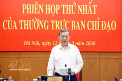 苏林总书记主持会议。图自越通社