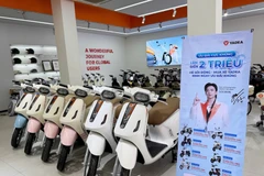 附图。图自越通社
