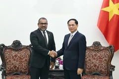 越南政府副总理裴青山会见马尔代夫外交部长阿卜杜拉·哈利勒。图自越通社