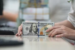 附图。图自越通社
