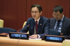 越南常驻联合国代表团团长杜雄越发表讲话。图自越通社